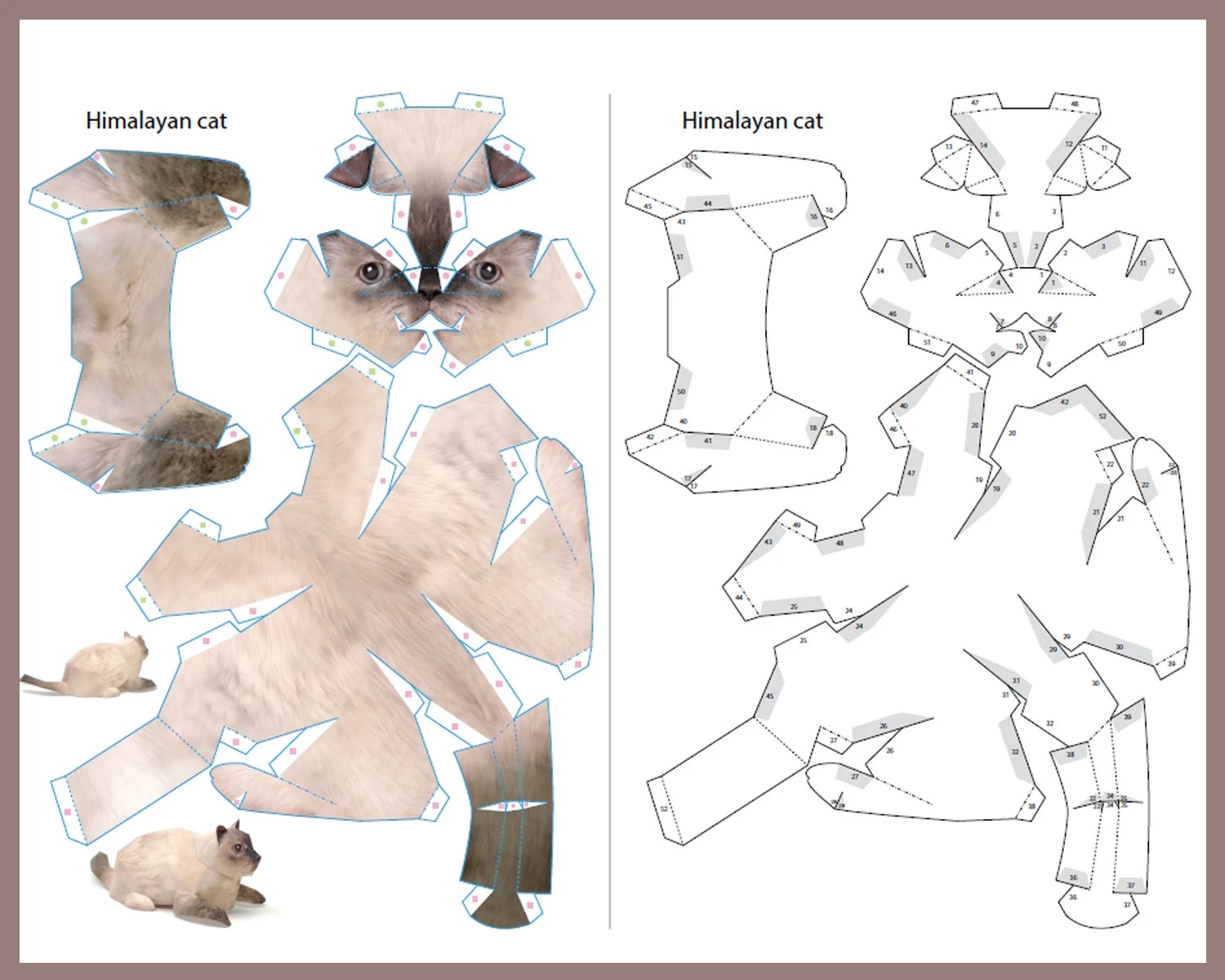 HIMALAYAN CAT 3D Papercraft 3D Origami Cat Paper Craft Cat 