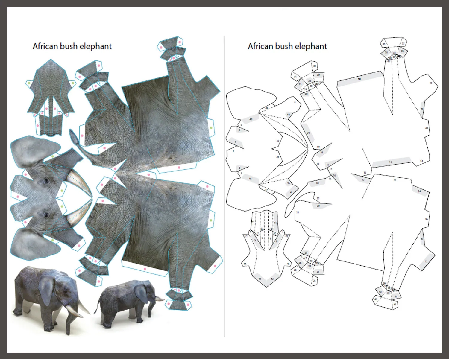 Printable 3d Elephant Template